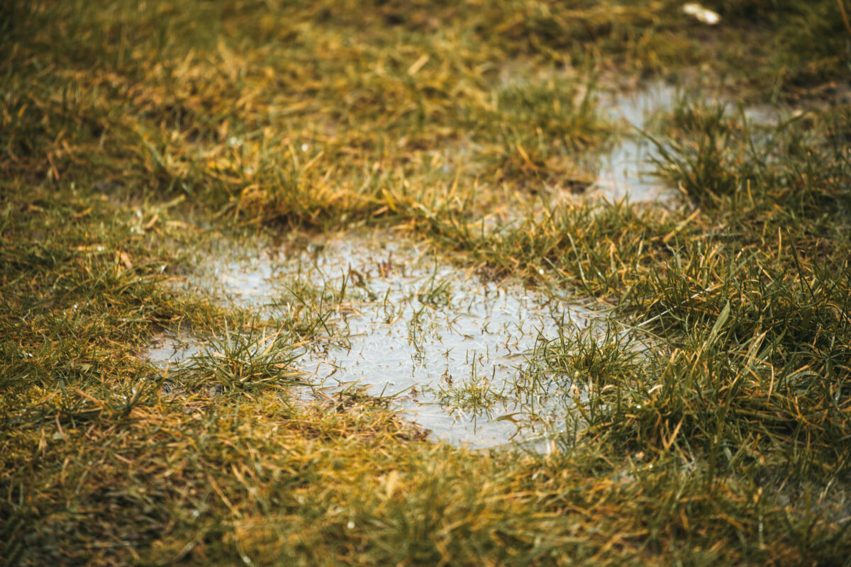 French Drains